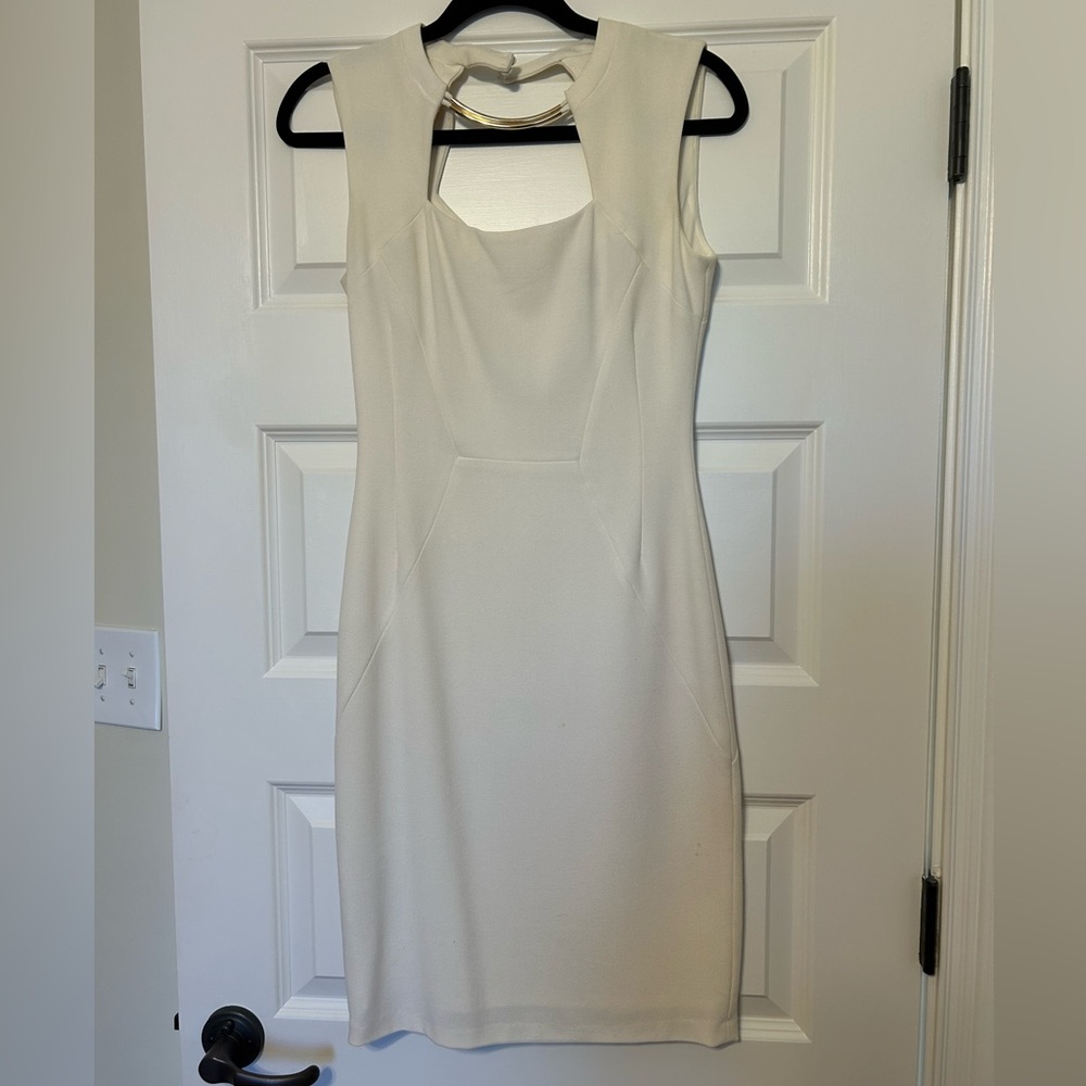 BCBGmaxazria Clara Dress